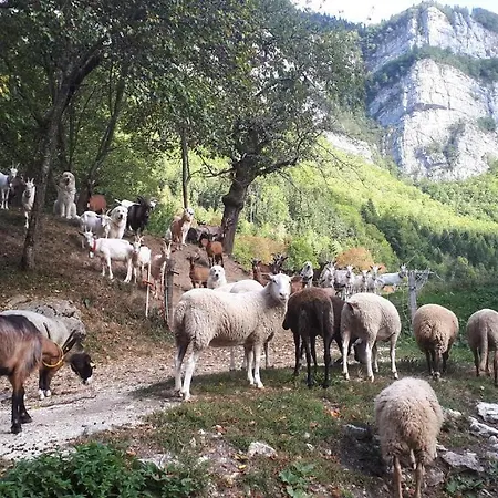 Campsite Les Caprines Du Vercors